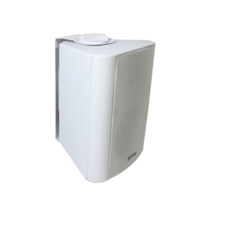 Настенная акустическая система  CleverMic SW30